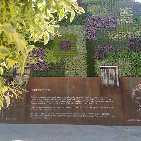 Acogedor Y Moderno Estudio En Capuchinos Malaga Zewnętrze zdjęcie